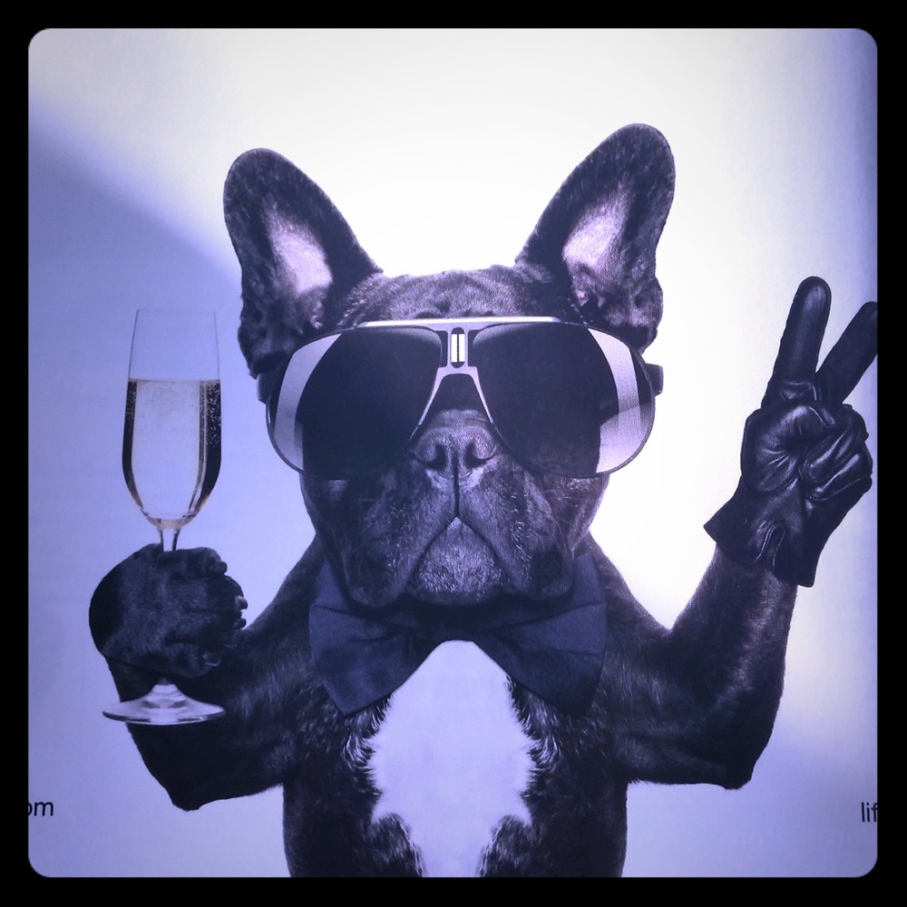 Meet your Posher, May